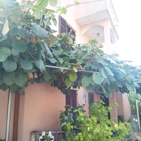 Apartment Olimp Lägenhet Rovinj