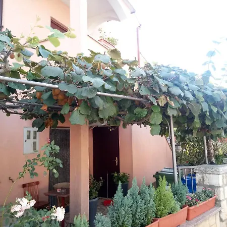 Apartment Olimp