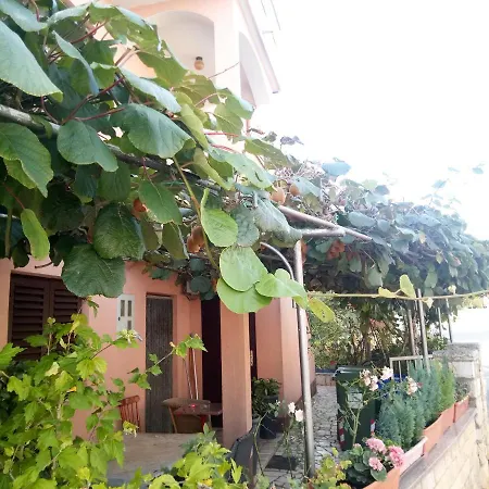Apartment Olimp Rovinj